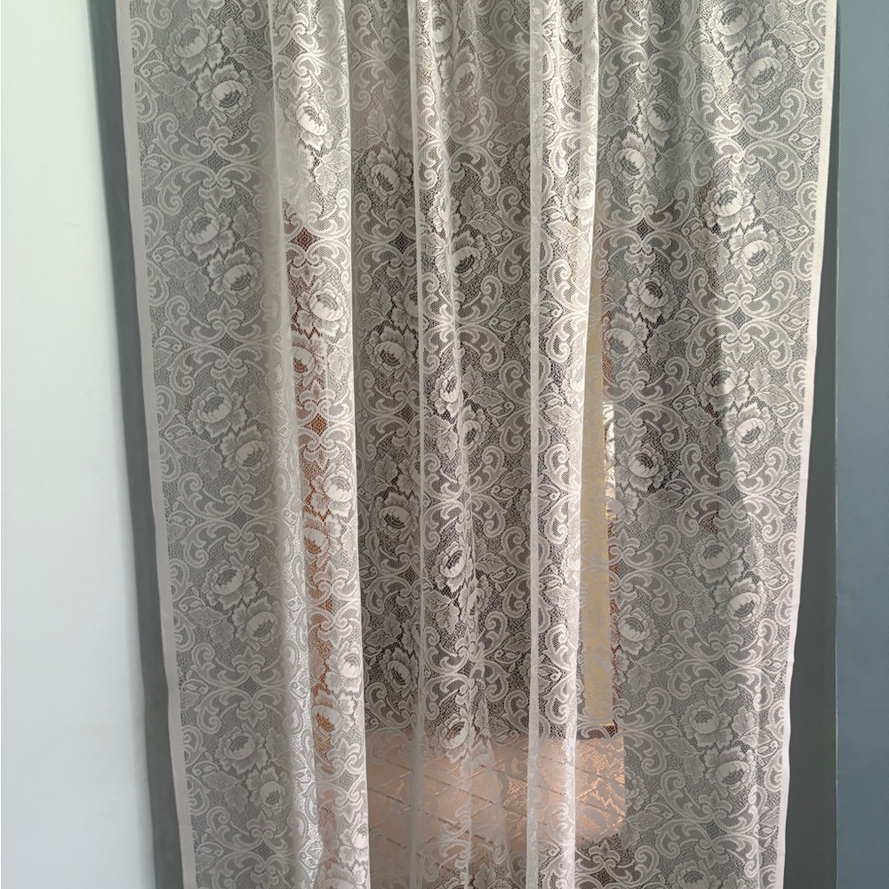 Sheer Lace Curtain Panel in Ivory